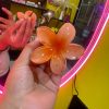 Gancho Flor Viral - Imagen 2