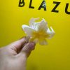 Gancho Flor Viral - Imagen 3